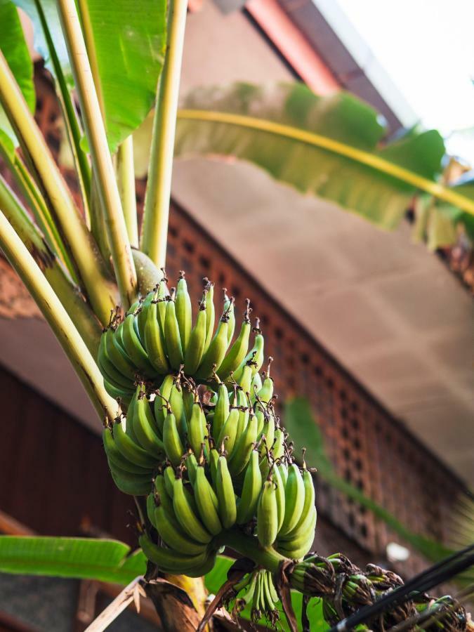 Cool Guesthouse Chiang Mai Exterior photo